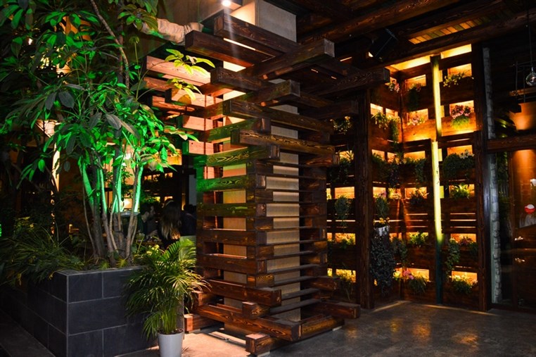 Fertil Dbayeh on Saturday Night